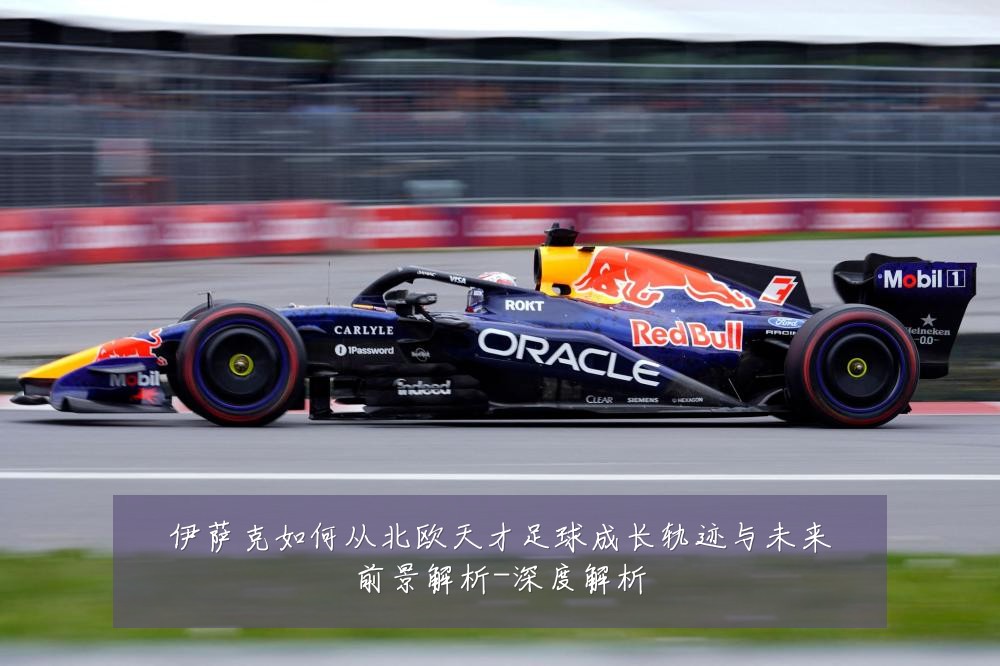 伊萨克如何从北欧天才足球成长轨迹与未来前景解析-深度解析